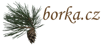Hlavn strana www.borka.cz